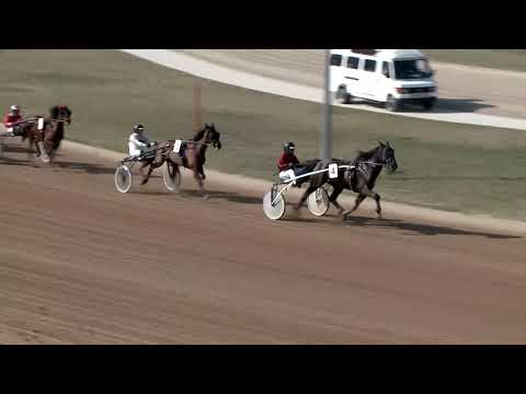 2019.03.23. 01. futam - NYERETLENEK VERSENYE