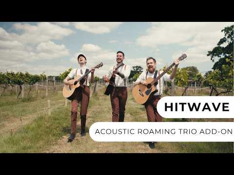 Hitwave - Acoustic Roaming Trio