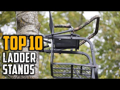 Top 10 Best Ladder Stands in 2024