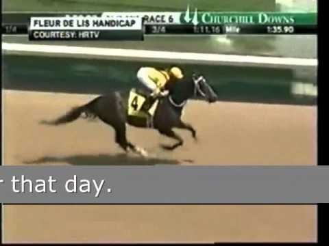 Rachel Alexandra - STILL GREAT?