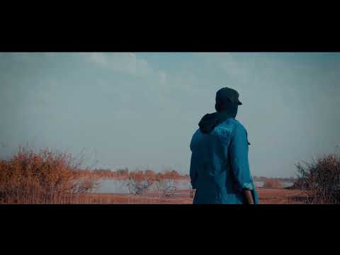 Westy King - Passionnel 2023_ Navire Noir