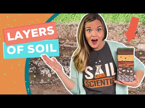 Layers of Soil | Soil Profile Formation