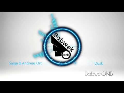 Saiga & Andreas Ort - Dusk [HQ][Free download]