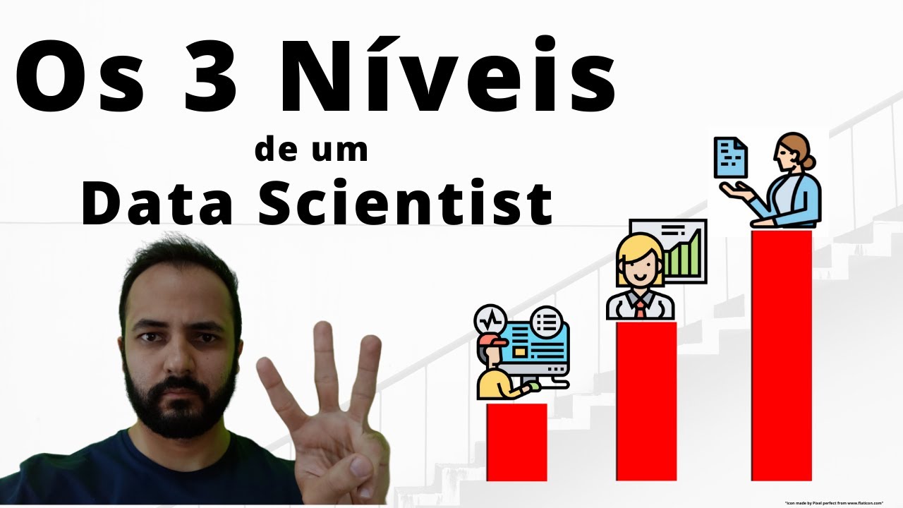 Os 3 NÍVEIS de um DATA SCIENTIST.