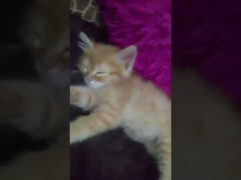 ١٨ يونيو ٢٠٢٥