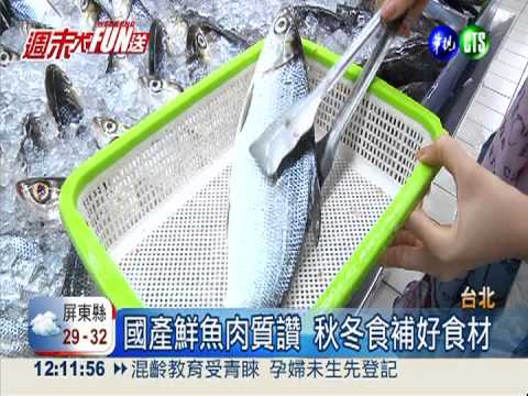 國產鮮魚尚青! 秋冬補出好元氣