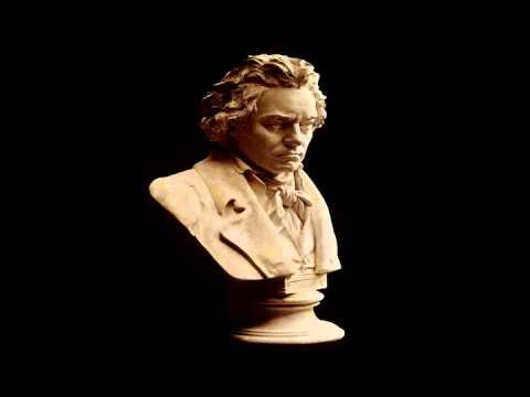 Beethoven's Symphony No. 9 : Adagio molto e cantabile