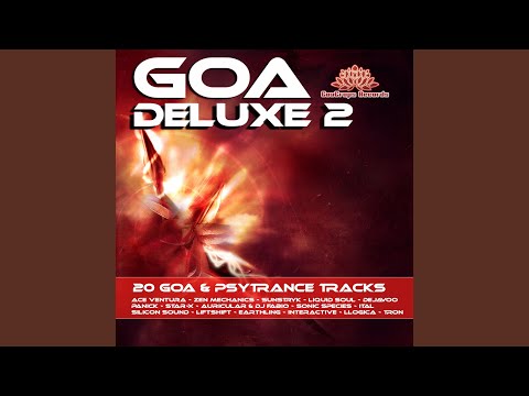 Hallucination Generation