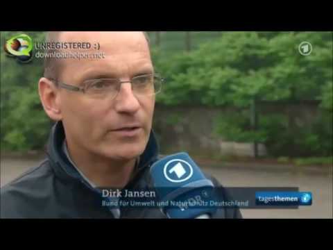 Kavernen Tagetsthemen 29 04 2014