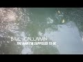 Bill Callahan "The Man I'm Supposed To Be" (Official Music Visualizer)