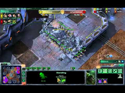 WCG 2011 (z) HappyZerg vs Dimaga (z)