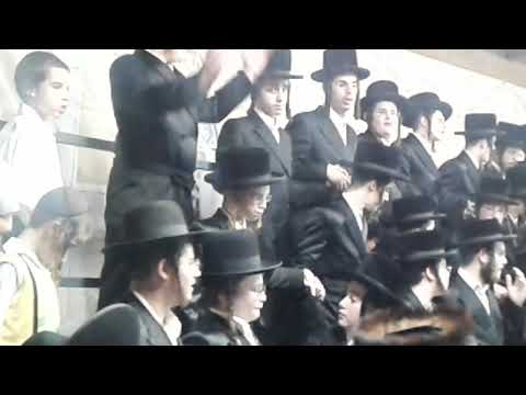 שמחת בית השואבה בנדבורנה אלעד תשפ"ב