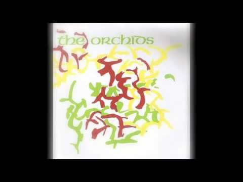 The Orchids - Peaches
