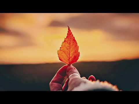 Feeling Good | High Vibes vol.9 | House Live Set | 2024 mixed by Ali Deger