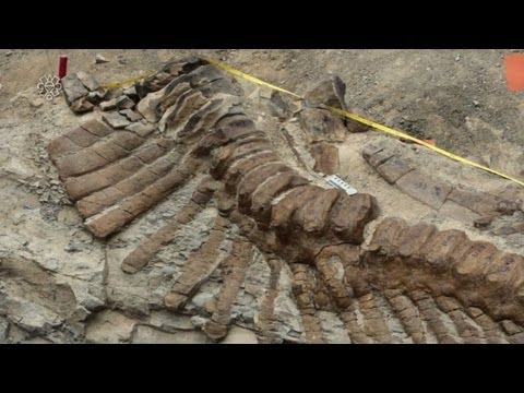 Spektakulärer Dino-Fund in Mexiko