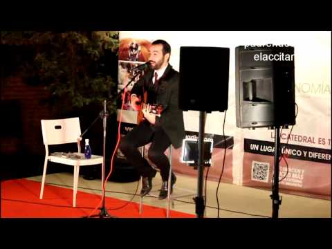 Braguitas asesinas - Mundo Chillón