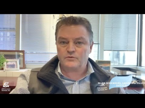 USDA Jan 12 Crop Report Recap - Hard to Find Anything Supportive