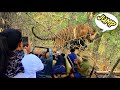 Bandhavgarh National Park Bandhavgarh Tiger Reserve Jungle Safari Bandhavgarh Tiger Safari