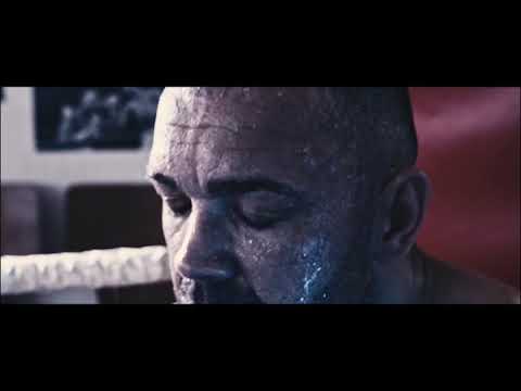 Cats Kill Gym Pawlak