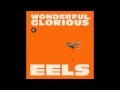 Eels - You're My Friend