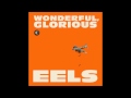 Eels - You're My Friend 