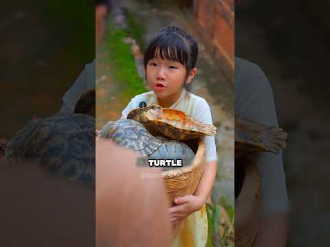 You Won’t Believe What They Made From These Rotten Turtle Shells! #shorts #food #asmreating #tiktok