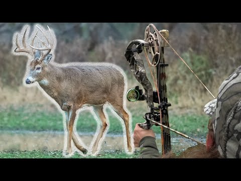 Top 5 Deer Hunting Tips For Ground Setups!