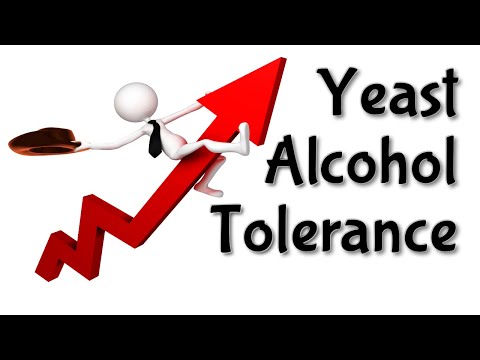 Yeast Alcohol Tolerance - Overshoot or Backsweeten?