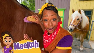 Cowgirl Meekah's Horse Tour! | International Day of The Girl | Blippi and Meekah Kids TV