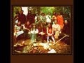 Feathers - Old Black Hat With a Dandelion flower (Live, longer, Gnomedzoic version)