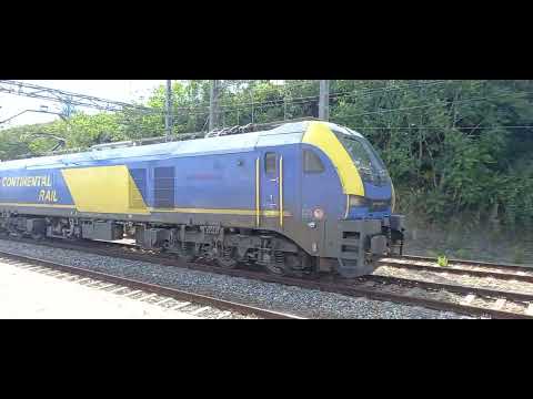 Euro 6000 (256) Continental Rail + cruce con un 333 Renfe Mercancías