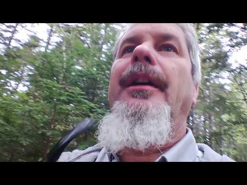 Campobello Island and a bit of L.J. Peretti Irish Mist.