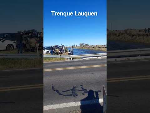 pejerreyes en ruta 5 en Trenque Lauquen