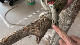 How to Tie a Clove Hitch for Limb Lowering