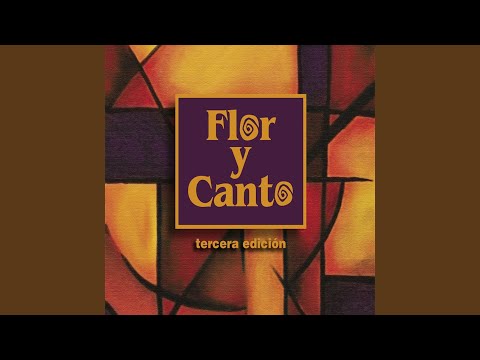 Salmo 26: El Señor Es Mi Luz