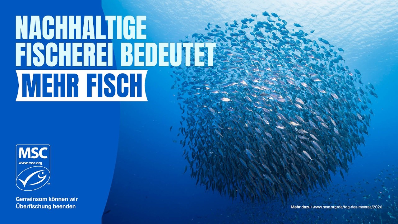 Das ist umweltverträgliche Fischerei 🎣