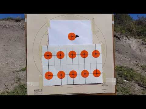 Savege FP .308 ( New Shilen barrel)