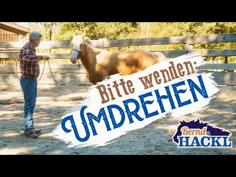 Vom Boden aus umdrehen | Bernd Hackl erklärt! 🐴