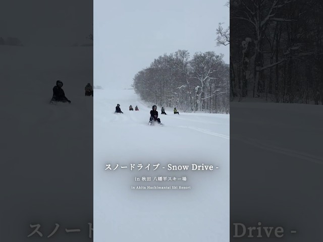 soopoint(HOBIE BASE OKUTOWADA AKITA)