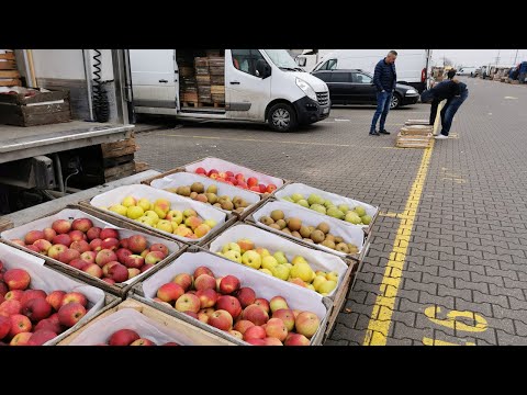 Relacja z rynku hurtowego w Broniszach – zastój, ceny jabłek