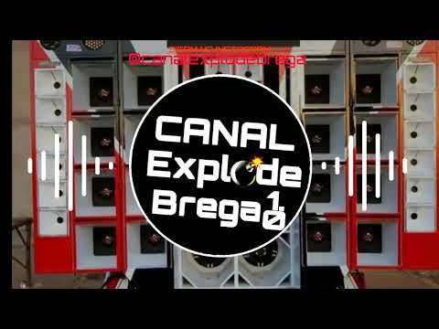 LEOZINHO PISADINHA - BOTOU GAIA SEM PENA | ENTÃO JÁ É JA É TUA VEZ JA FOI - COM GRAVE