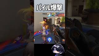 【OW】怒涛の勢いでキルログに並ぶハリウッドファラ #shorts #overwatch #overwatch2