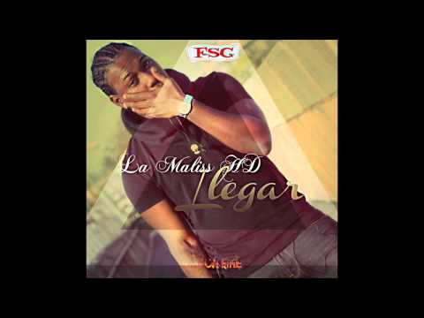 Drake Ft. P Reign Dnf Spanish Cover - La Maliss HD - Llegar
