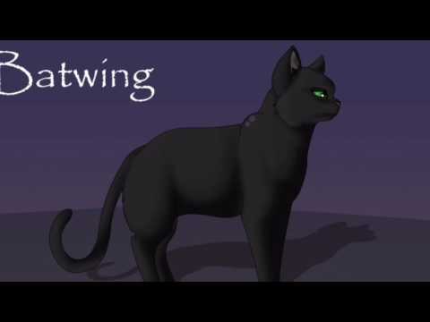 Seeking The Stars Batwing Audition