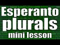 Esperanto plural