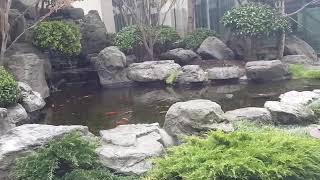 Experience a Jewel of a Rooftop Garden