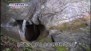 相談15733に関連する動画