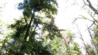 waterfall close to chemainus