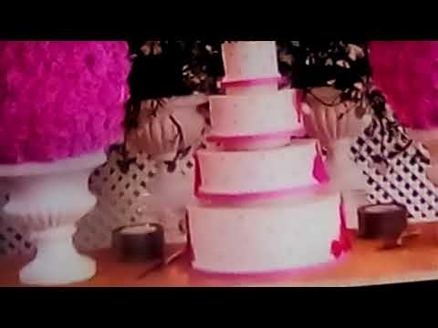 Beverly Hills chihuahua #2