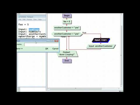 CPT 114- Lesson 7- dog walking part 2